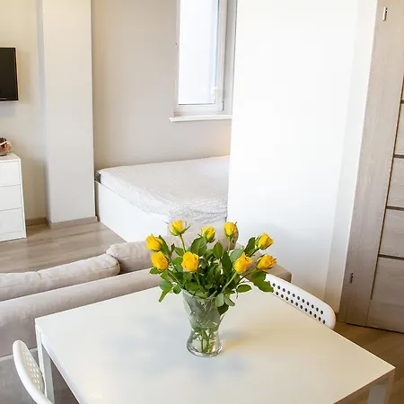 Cozy Studio Tower Vilnius