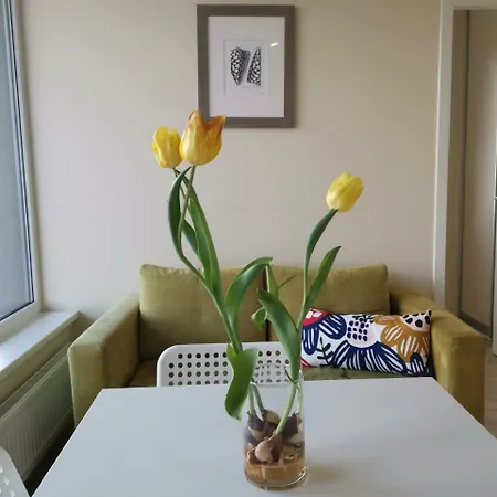 Cozy Studio Tower